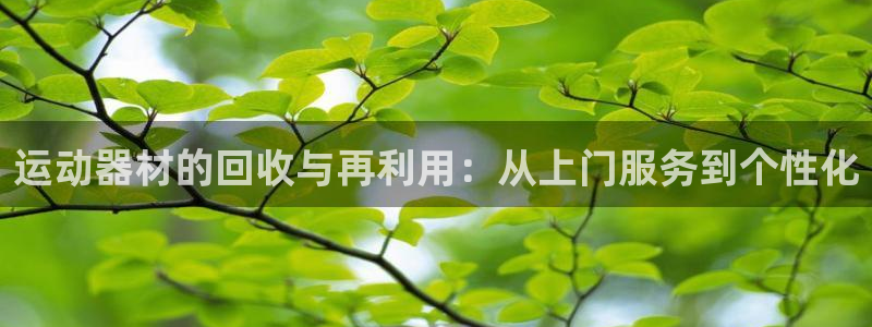 BWIN体育官方正版app神州:运动器材的回收与再利用:从上