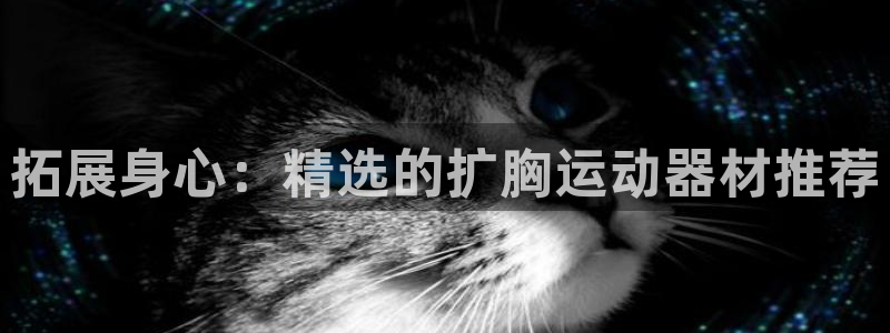 BWIN体育官网下载平台:拓展身心:精选的扩胸运动器材推荐