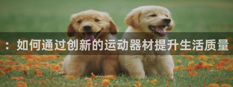 BWIN体育官网下载招商电话是多少啊::如何通过创新的运动器